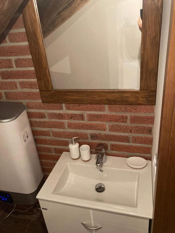 Apartmanový dům 13 Podkroví 1 Seč Exterior foto