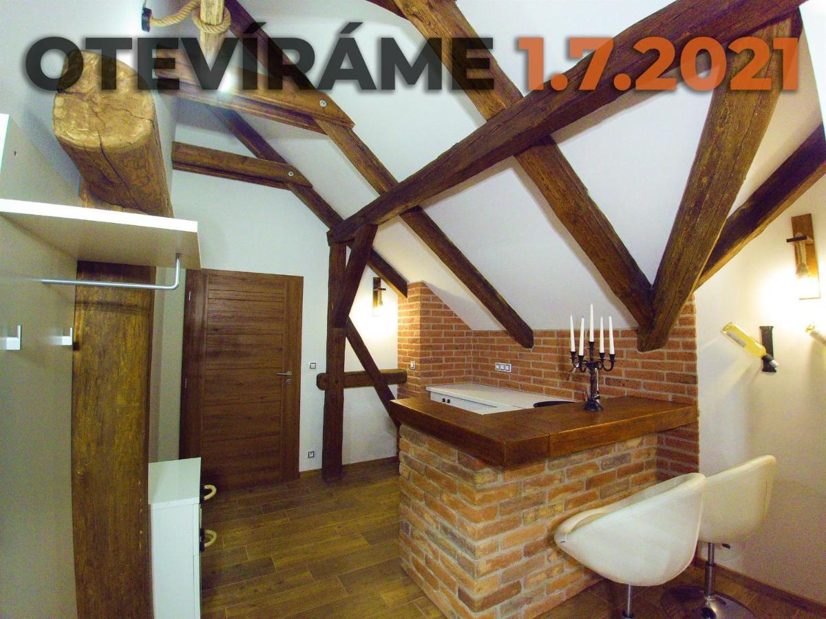 Apartmanový dům 13 Podkroví 1 Seč Exterior foto